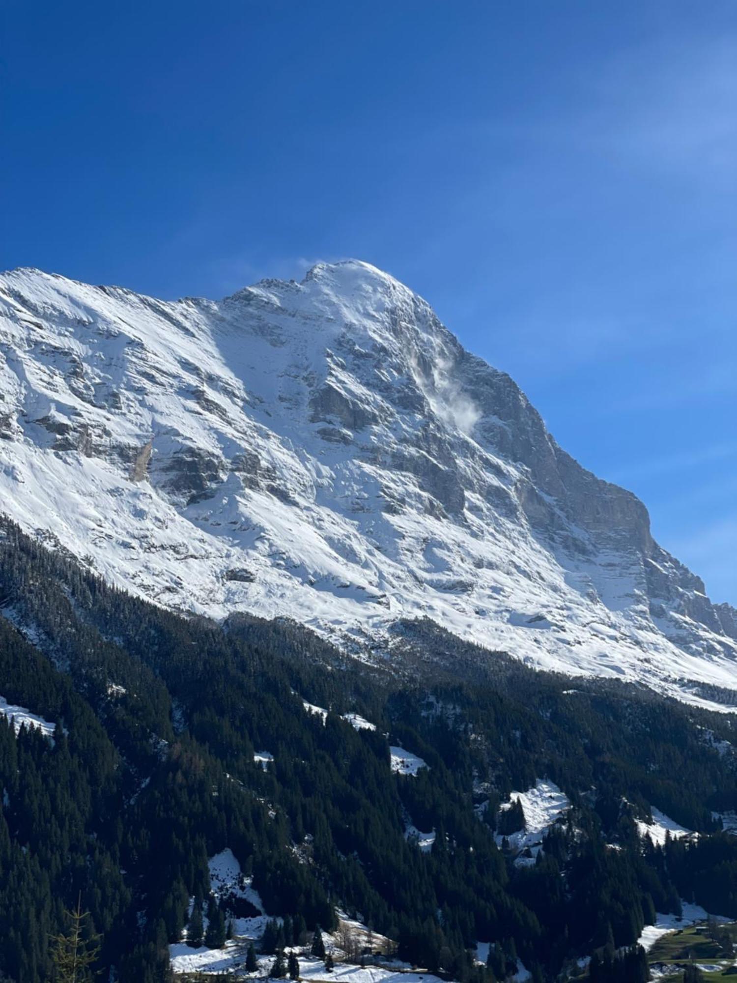 Jungfrau Lodge, Annex Crystal Grindelwald Exterior photo